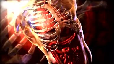 人体骨骼内脏肌肉人体解剖医学通用素材视频的预览图